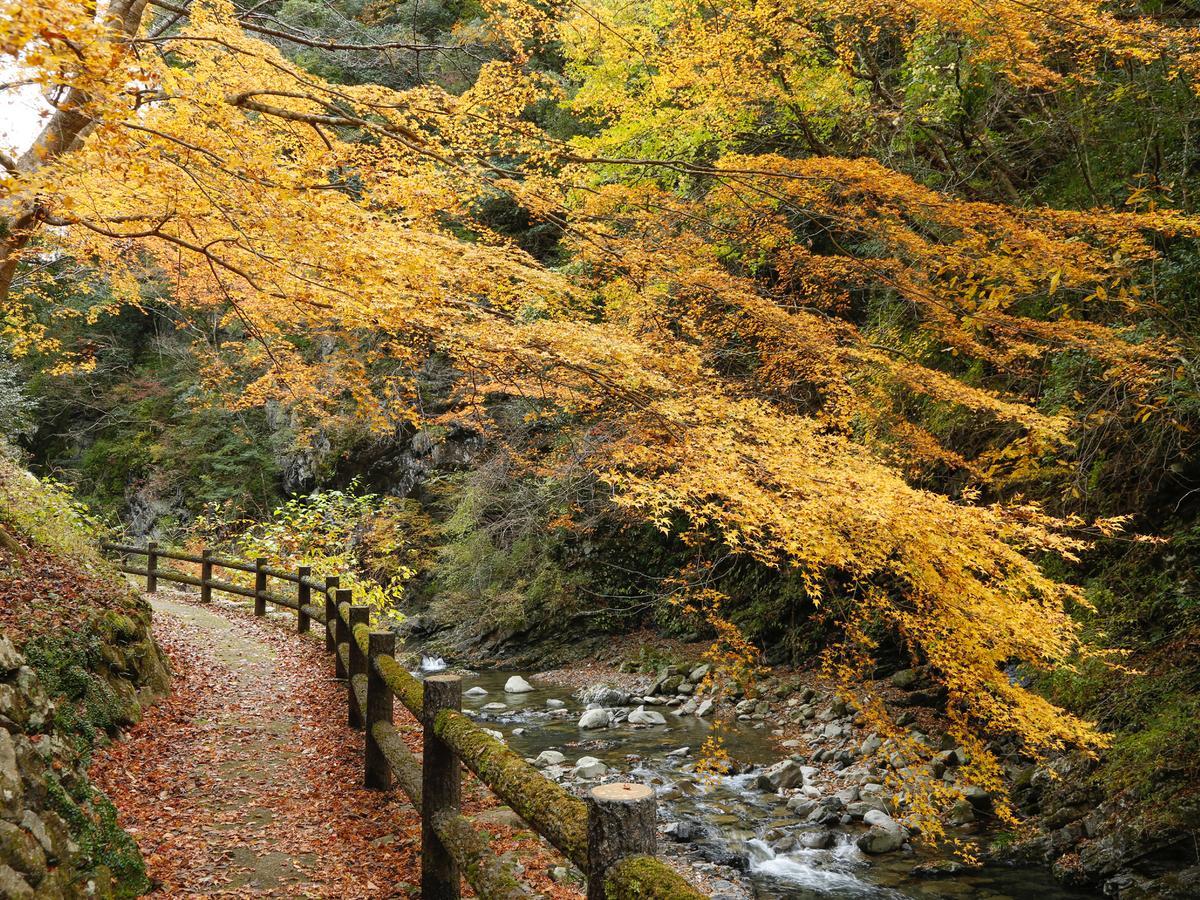 Manno 阿讃琴南汤山荘日式旅馆酒店 外观 照片